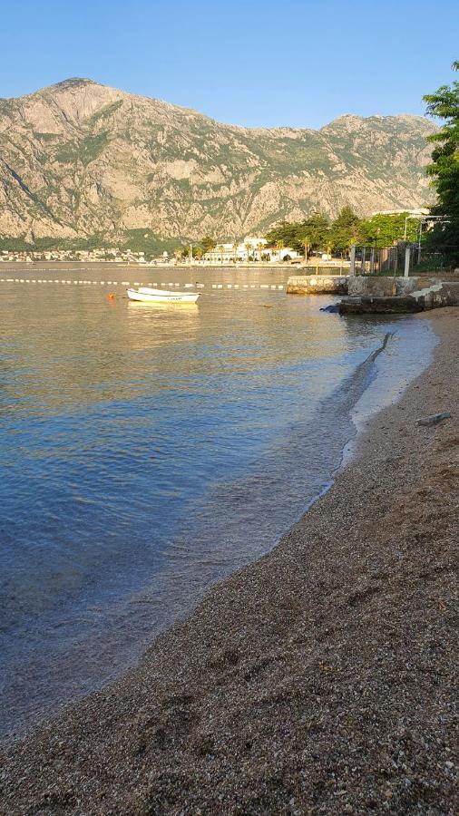 Viva House Villa Kotor Eksteriør bilde
