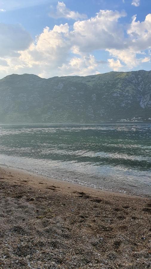 Viva House Villa Kotor Eksteriør bilde