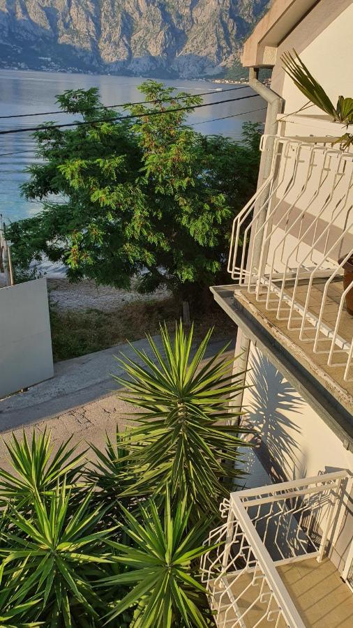 Viva House Villa Kotor Eksteriør bilde