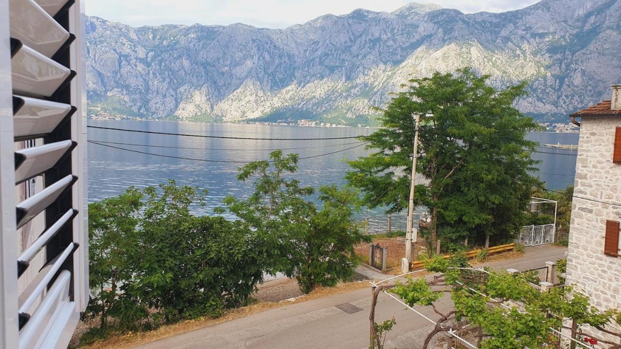 Viva House Villa Kotor Eksteriør bilde